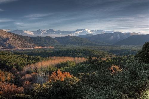 Ecólogos piden estudiar los efectos del cambio climático en los bosques