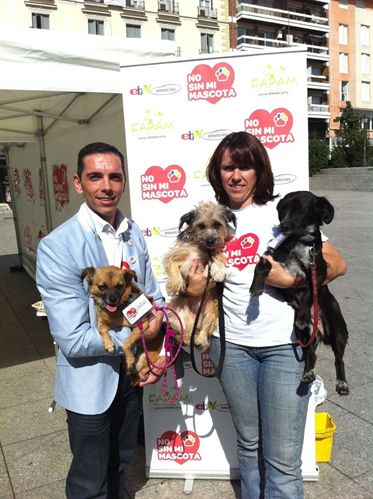 El 90 por ciento de los españoles prefiere adoptar una mascota antes que comprarla