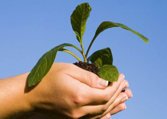 Te gustaría diplomarte en derecho ambiental
