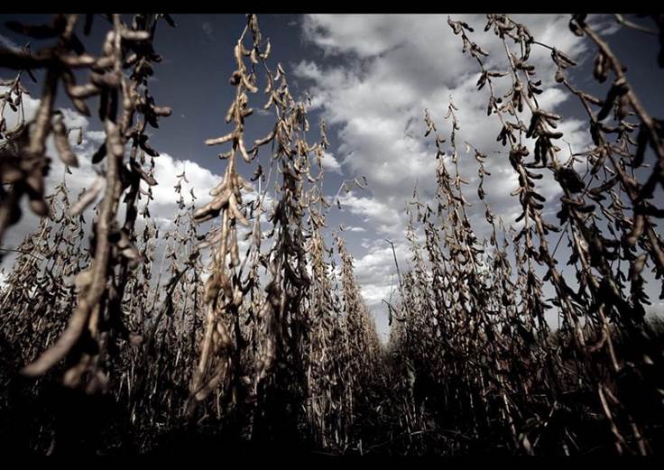 Iniciativa ciudadana europea para prohibir el glifosato