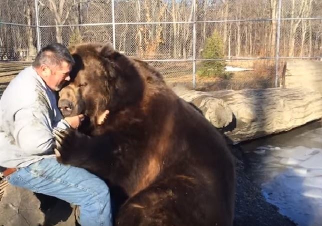 Oso amoroso (Vea VIDEO)