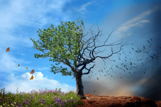 Conocías este máster en cambio climático