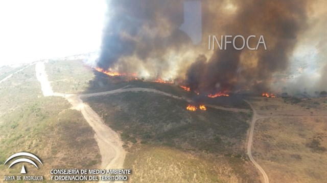 Medios aéreos del Ministerio se suman a la extinción del incendio en Castillo de las Guardas