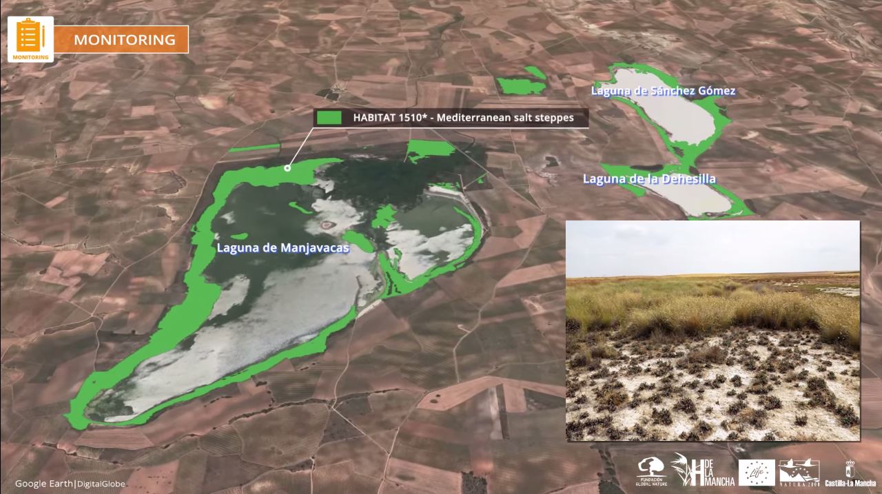 Los humedales manchegos a vista de pájaro gracias al geoperiodismo (VIDEO)