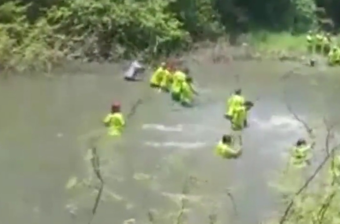 Costa Rica. Marcha contra el maltrato animal el 30 de Abril