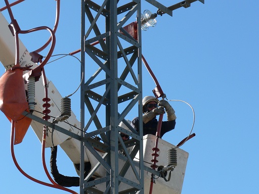 Iberdrola y el Colectivo Azálvaro con las aves
