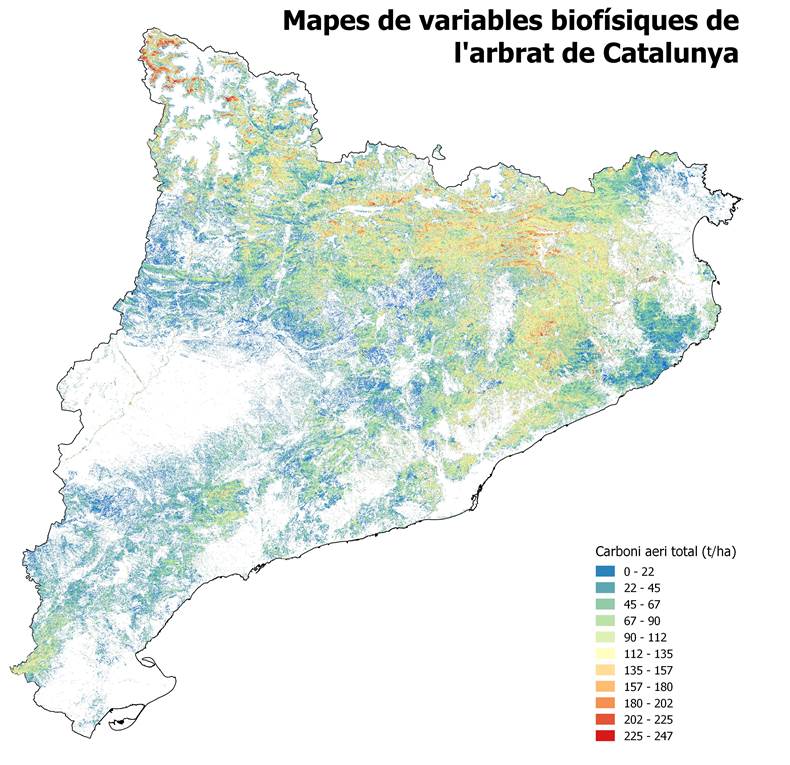 España dispone de los primeros mapas de las provincias catalanas de alta resolución de bosques generados a partir de datos láser