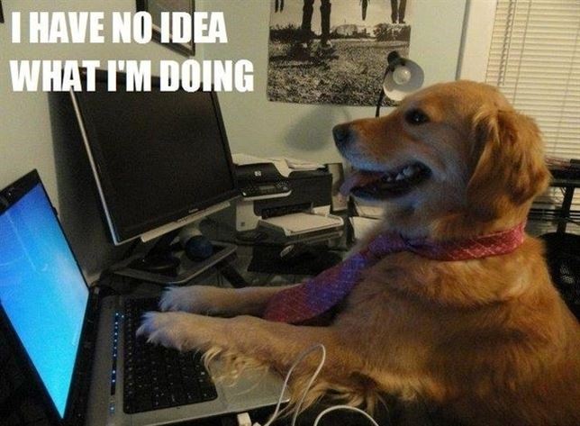 El perro ‘modelo’