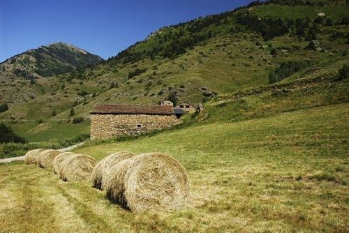 Cataluña impulsa productos y servicios de parques naturales para conservarlos