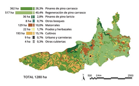 El incendio forestal de Òdena ha afectado mayoritariamente a pinares de pino Carrasco