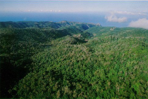 El director del Parque Nacional de Garajonay: habrá que empezar de cero