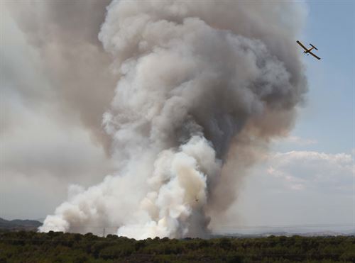 El fuego arrasa casi el triple de hectáreas que en el mismo periodo del año pasado