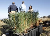 Proyecto innovador de recuperación hidroforestal en la zona de las Cuencas Mineras de Teruel