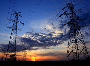 Campaña para denunciar tendidos eléctricos peligrosos para las aves