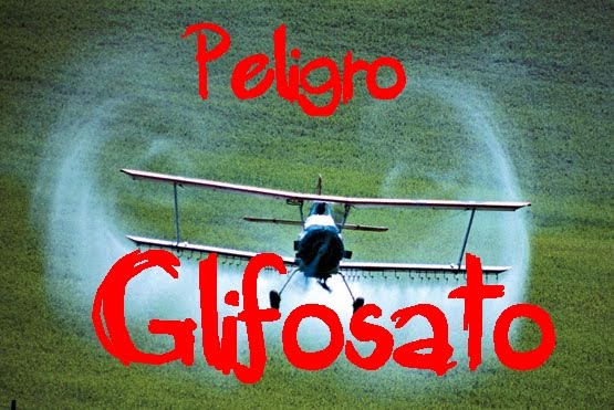 El glifosato