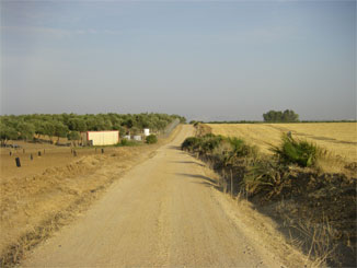 Los ‘líos’ de la Cañada Real de Morón