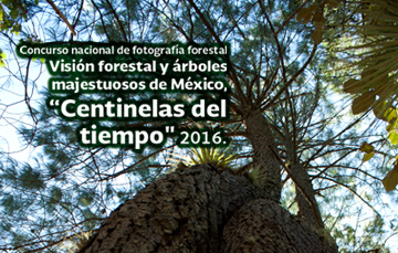 Concurso nacional de fotografía forestal