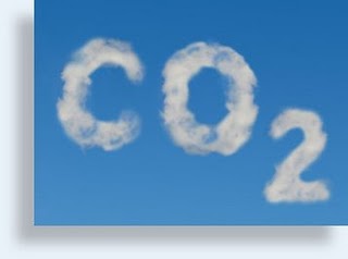 Emisión de CO2 será compensada