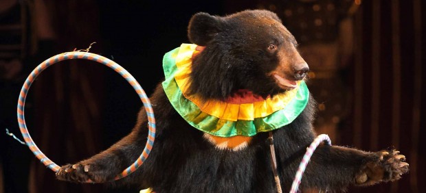 Arganzuela quiere sumarse a la prohibición del uso de animales en circos