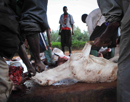 La ‘brutalidad’ de un matadero en Tanzania (vea video)