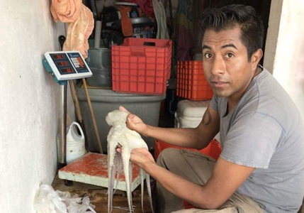 Rigoberto Rosas Luis