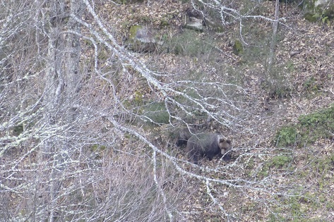 22 MAYO Día Mundial de la Diversidad Biológica en Asturias