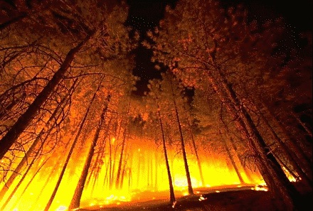 Castilla y León dispone 4.200 personas en el operativo contra incendios forestales