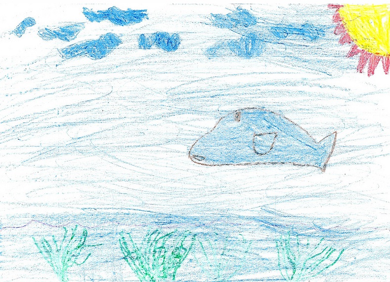 Ecologistas en Acción te propone participar en la Campaña ‘Pinta un pez’