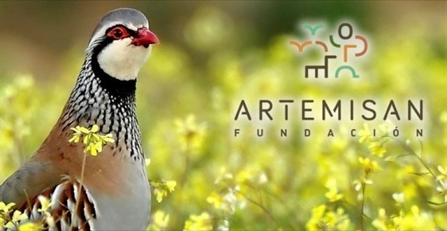 Fundación Artemisan pone en marcha un proyecto para recuperar la perdiz roja silvestre en España