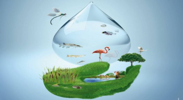 Dos de Febrero ‘Día Mundial de los Humedales’