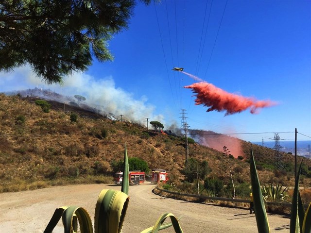 Fatal campaña de verano en Collserola (Barcelona) con 32 incendios más que el año pasado