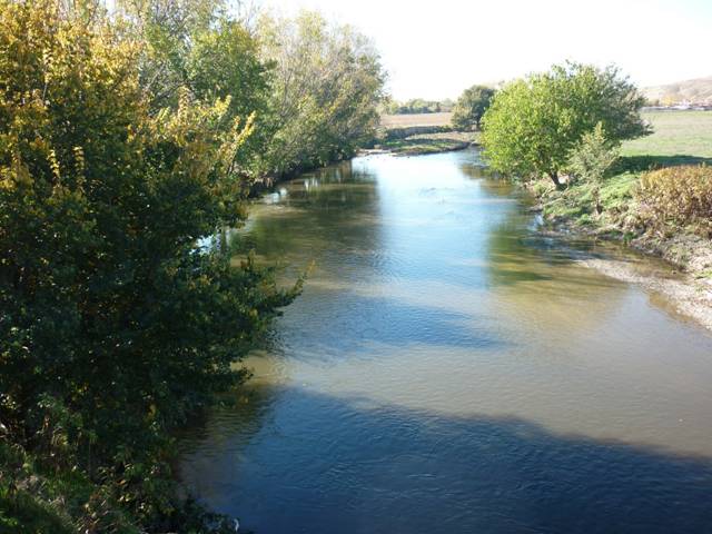 Detergentes y grasas en el río Manzanares