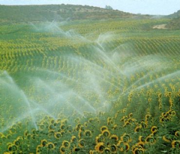 A las sequías que padece España no podemos añadirle sequías en I+D+I