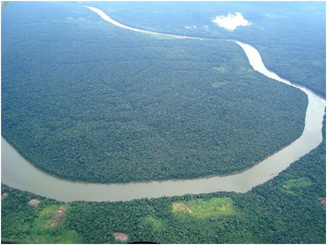 La ONU ignora a Brasil al diseñar su plan de protección de los bosques del mundo