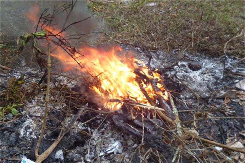 Junta de Andalucía pide ‘extremar las precauciones’ en las quemas agrícolas y forestales