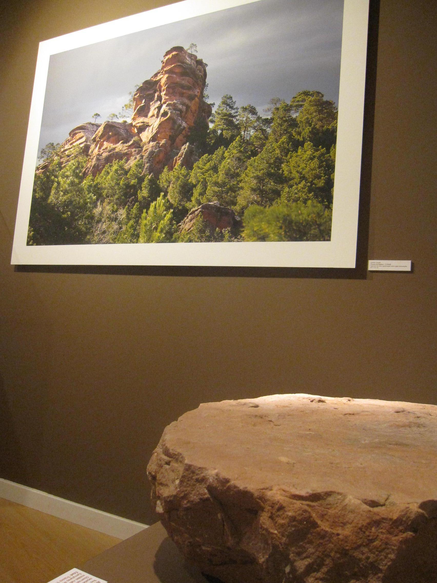 Exposición Vida: origen