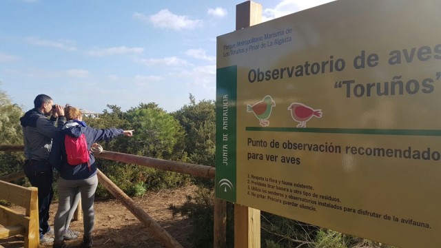 El Parque de Los Toruños (Cádiz) celebrará el Día de las Aves con avistamientos