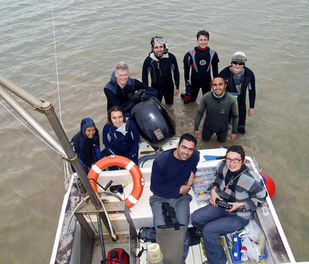 Una innovadora técnica explica la variada biodiversidad de la Bahía de Cádiz
