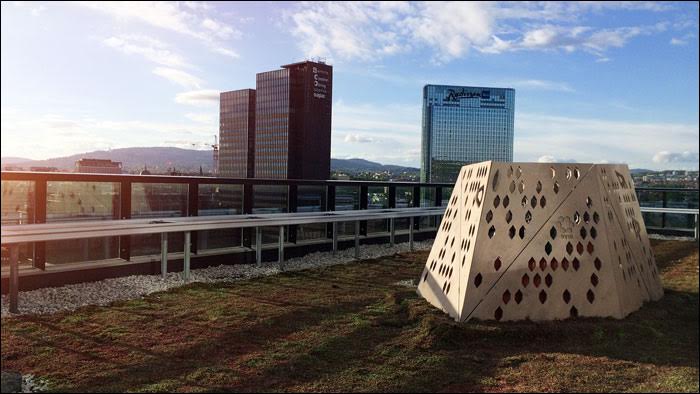 Experto subraya que cada estructura de la ciudad "puede usarse como parte de la biodiversidad"