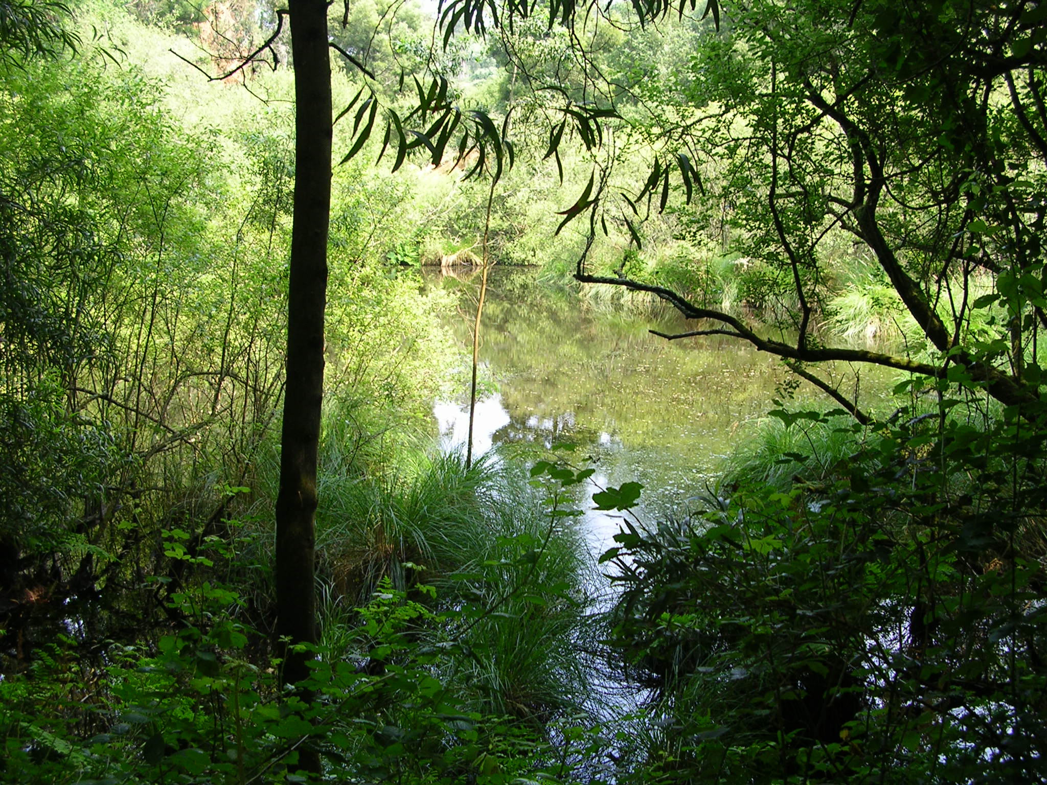 El Gobierno de Asturias esta incapacitado para valorar el proyecto de Asturgold