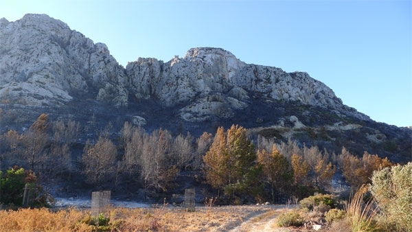 Sumando esfuerzos para recuperar la Sierra de La Tramontana