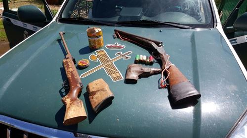 Un ‘delincuente’ envenena siete buitres leonados y un alimoche en León