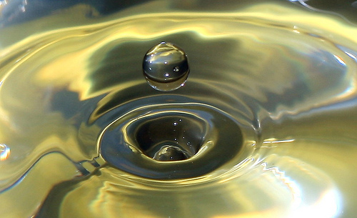 Euskadi. Día Mundial del Agua
