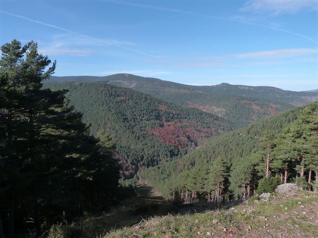 Sierra Cebollera un ‘referente’ en conservación natural