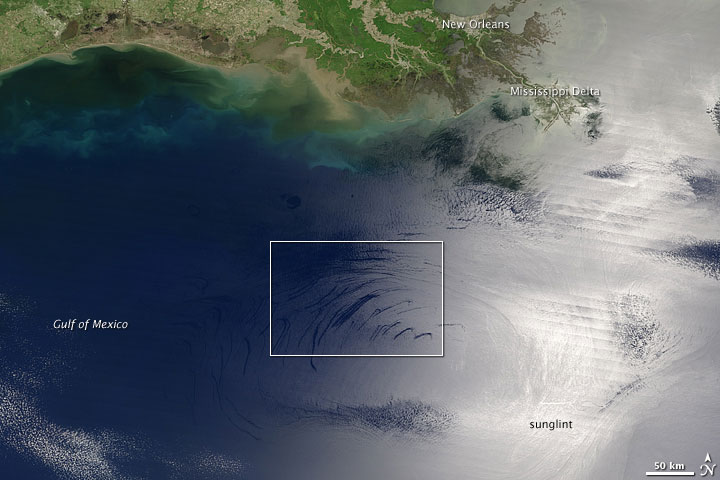 Los primeros signos de la marea negra llegan a las costas estadounidenses