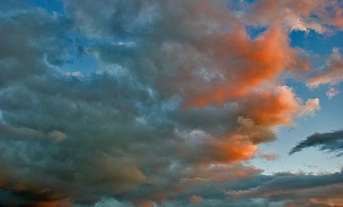 El Ayuntamiento de Dénia y universidades estudian crear una sede de investigación medioambiental en el Montgó