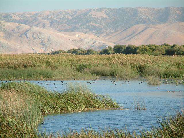 A los humedales degradados les cuesta treinta años recuperarse