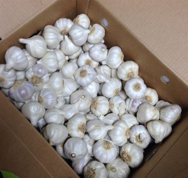 Biocida a partir de residuos agroalimentarios locales