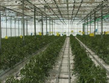 Jornadas IQS de Productos Fitosanitarios