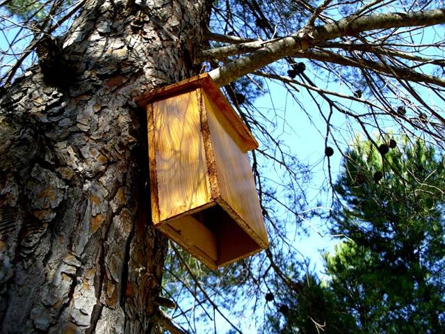 La Rioja potencia los refugios para murciélagos